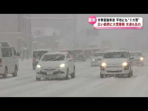 【今季最強寒波】新潟県内各地に大雪影響　交通も混乱（22日午後4時現在）