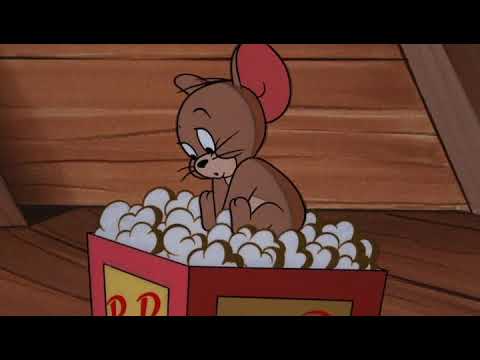 Tom and Jerry - Shutter Bugged Cat