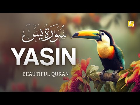 World's most Relaxing Quran recitation of Surah Yasin (Yaseen) سورة يس | Zikrullah TV