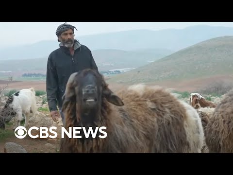 Militant Israeli settlers attack Palestinian shepherds in West Bank