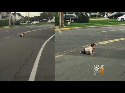 Baby Rescued While Crawling Across Road In New Jersey