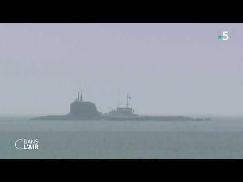 Guerre en Ukraine: Moscou fait monter la pression sur les c&acirc;bles sous-marins- Reportage 16.03.2022