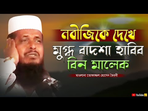 নবীজিকে দেখে মুগ্ধ বাদশা হাবিব বিন মালেক | মাওলানা তোফাজ্জল হোসেন | Tofazzal Hossain | Bangla Waz