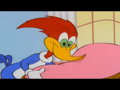 Woody receives a big surprise | Woody Woodpecker