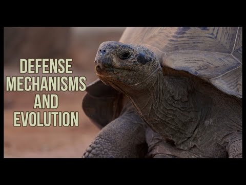 Defense Mechanisms and Evolution