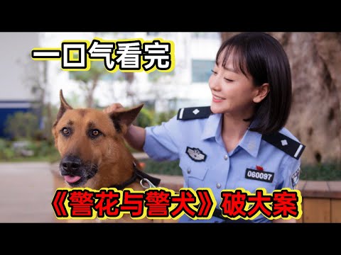 警花和警犬配合破大案丨一口气看完《警花与警犬》