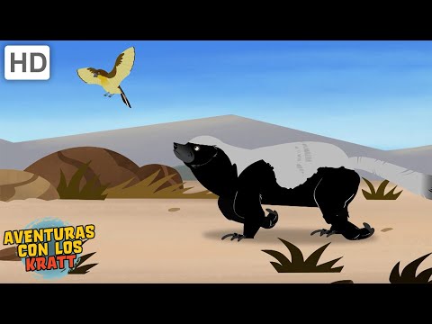 Adaptaciones incre&amp;iacute;bles Parte 1-10 | C&amp;oacute;mo sobreviven los animales | Aventuras con los Kratt