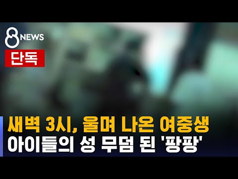 [단독] 새벽 3시, 울며 나온 여중생&hellip;아이들의 성 무덤 된 '팡팡' / SBS 8뉴스