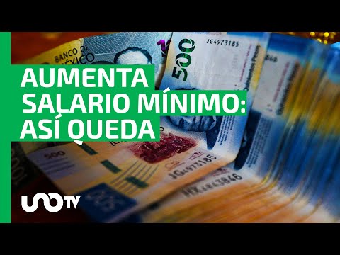 Salario m&iacute;nimo 2024 por profesiones y oficios