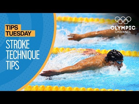 How To Improve Your Swimming Stroke Technique ft. Coach Jack Bauerle | Olympians' Tips