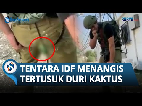 MOMEN Tentara Israel NANGIS KESAKITAN Imbas Tertusuk Duri Kaktus saat Buru Hamas, Tak Kuasai Medan?