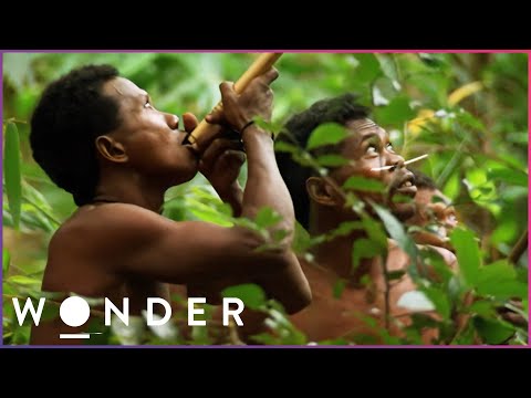 This Hidden Tribe Hunt Jungle Animals With Deadly Precision | Man Hunt S1 E2 | Wonder