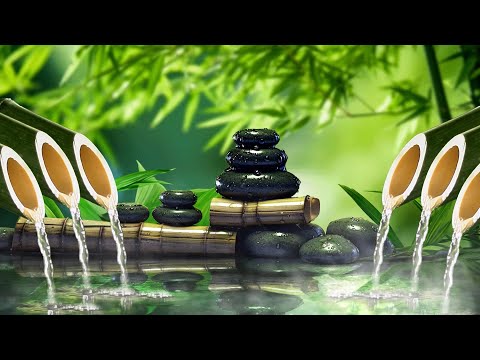 Relaxing music to rest the mind, stress, anxiety 🌿 relax and sleep, zen