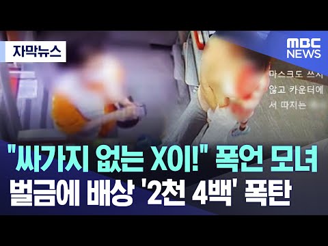 [자막뉴스] &quot;싸가지 없는 X이!&quot; 폭언 모녀..벌금에 배상 '2천 4백' 폭탄 (2023.11.14/MBC뉴스)