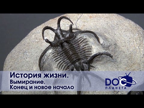 История жизни - Часть 5.Вымирание. Конец и новое начало  - Документальный фильм