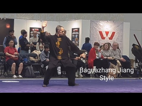 Baguazhang Jiang Style Nordic Wushu Open 2023