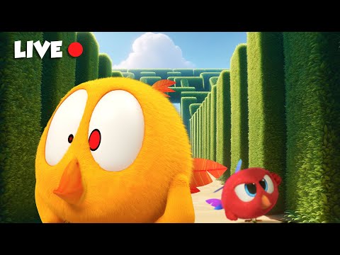 WHERE'S CHICKY ALL SEASONS 🔴 LIVE CARTOON | Best Cartoon Collection for Kids | ALL EPISODES