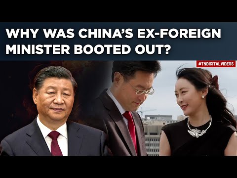 &lsquo;Extramarital Affair, Childbirth In US&rsquo; Led To Dismissal Of Ex-Chinese Foreign Minister? Reports Say