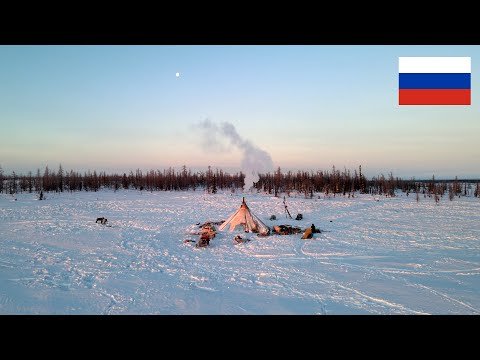 How The North Nomads live in Russia Tundra? How people live in Russia today