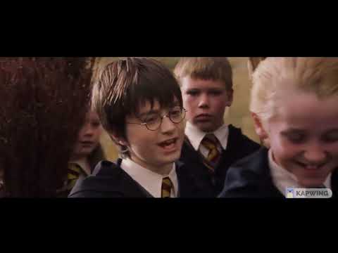 Harry Potter. First Flying Lesson