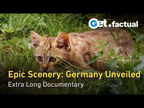 Wild Germany: Scenic Journey from the Black Forest to the Coastlines | Extra Long Documentary