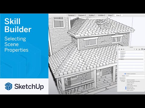 Selecting Scene Properties - Skill Builder