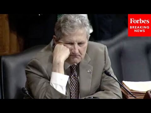 'Let Me Just Finish': John Kennedy's Most Viral Witness Grillings | 2021 Rewind