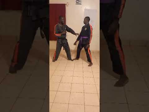 Kenpo techniques combat learn follow like