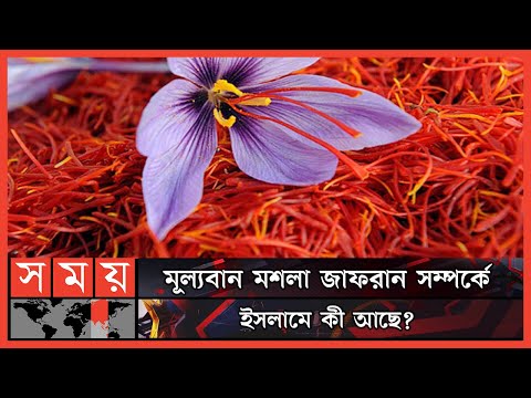 ১ কেজি জাফরানের দাম ৪ থেকে ৫ লাখ টাকা কেন ? | Saffron | Why Saffron is So Expensive | Somoy TV