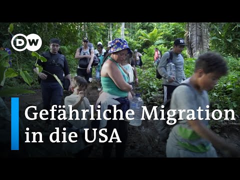 Darien Gap: Durch die Dschungelh&ouml;lle in die USA | DW Reporter