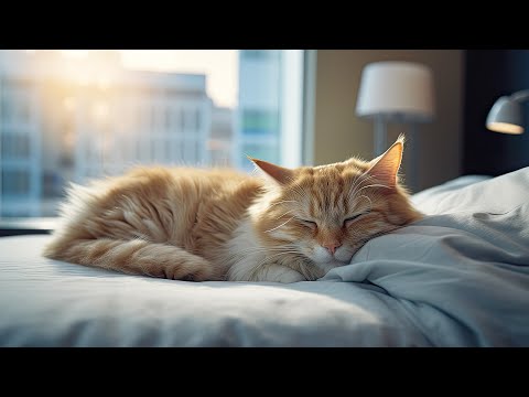 Calming Music for Anxious Cats: Soothing Sounds for Deep Relaxation and Sleep