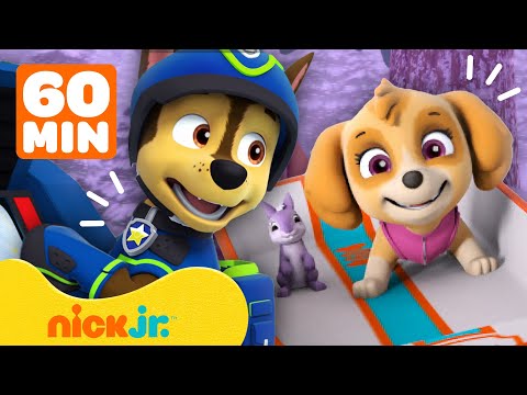 Patrulha Canina Resgata Seus Amigos! | Compila&ccedil;&atilde;o de 60 Minutos | Nick Jr. em Portugu&ecirc;s