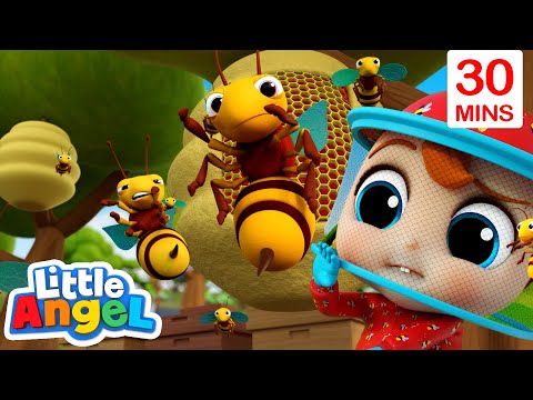 Silly Kooky Bugs Park Song +More |  Little Angel Color Songs &amp; Nursery Rhymes | Learn Colors