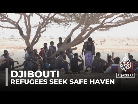 Migrants in Djibouti: Yemeni and Ethiopian refugees seek safe haven