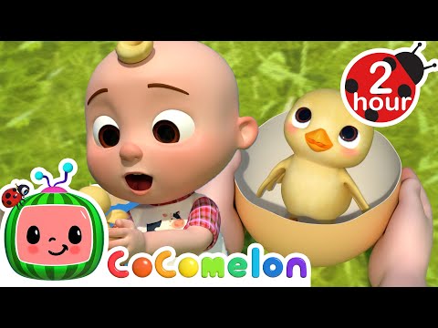 🐣 Humpty Dumpty KARAOKE! | BEST OF COCOMELON! | Sing Along With Me! | Moonbug Kids Songs