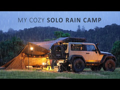 SOLO Car Camping in RAIN - Cozy Relaxing with my Dog | Sleep in a tent