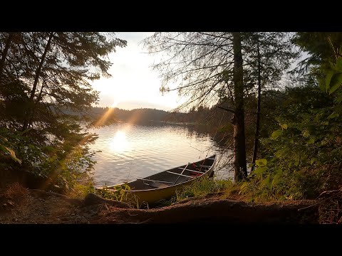 Relaxing LoFi Work/Study Background Music - Peaceful Sunset at Pog Lake (Algonquin Park - Canada)