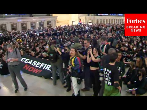 Protesters Occupy NYC's Grand Central Station Demanding Ceasefire In Israel-Hamas War