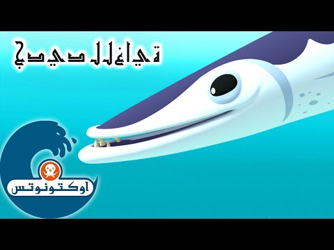 9 أوكتونوتس | الباراكودا | السلسلة 3 | الحلقة