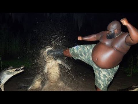 this guy kicks an alligator