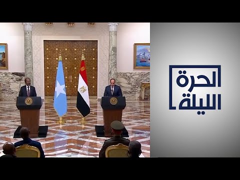 خلال لقائه نظيره الصومالي.. السيسي يؤكد حرصه على عدم تعرض أمن الصومال للتهديد