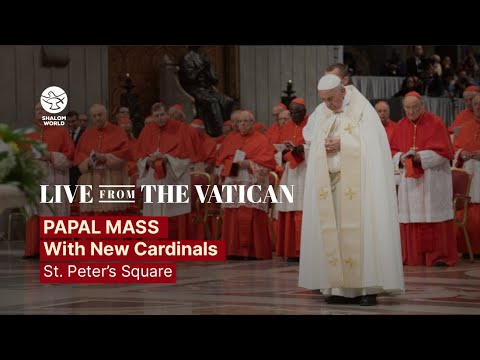 Papal Mass with the New Cardinals LIVE from St. Peter&rsquo;s Square | LIVE