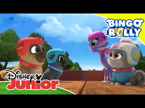 Bingo y Rolly: Compilado musical | Disney Junior Oficial