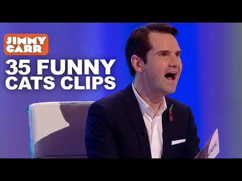 35 Funny 8 Out of 10 Cats Clips | 8 Out of 10 Cats | Jimmy Carr