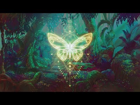 🦋THE BUTTERFLY EFFECT ⁂ Elevate your Vibration ⁂ Positive Aura Cleanse ⁂ 432Hz Music