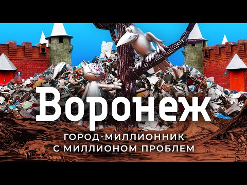 Воронеж: родина флота тонет в грязи | Сектор газа и котёнок с улицы Лизюкова