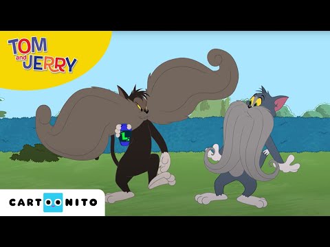 Tom și Jerry | Mustața | Cartoonito