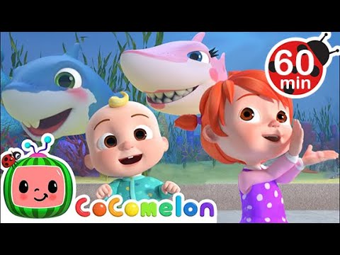 Baby Shark! + @Cocomelon - Nursery Rhymes | 1 HOUR