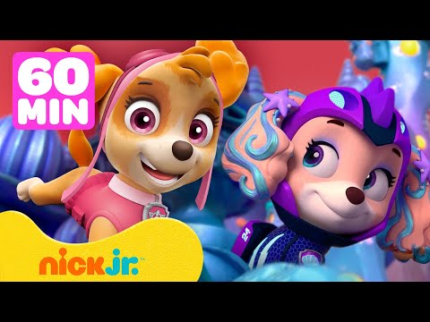 PAW Patrol BFF Rescues! 💖 w/Skye, Coral, Liberty &amp; Everest | 1 Hour Compilation | Shimmer and Shine