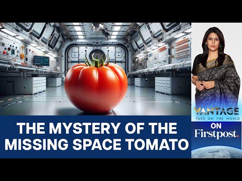 Tomato Goes Missing Space, Resurfaces After 8 Months. Where Did It Go?  | Vantage with Palki Sharma